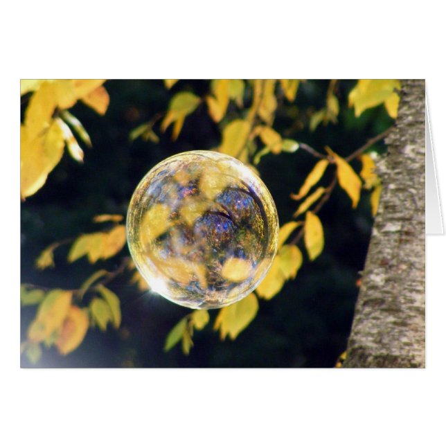 反映された紅葉 (正面横)