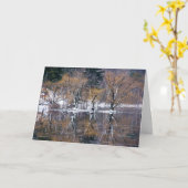 反映される4本の木 カード (黄色い花)