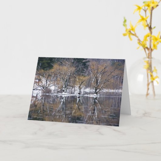 反映される4本の木 カード (黄色い花)