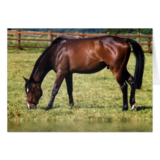 反映湾 (正面横)