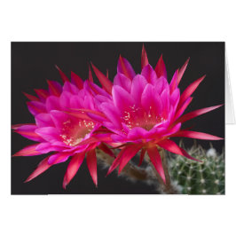 反物質に二を加える