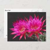 反物質サボテン花の時間2 ポストカード (正面/裏面)
