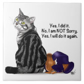 反省のタブビーキャッおもしろいト タイル (正面)