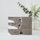 反転 ポストカード (スタンド正面)