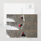 反転 ポストカード (正面/裏面)