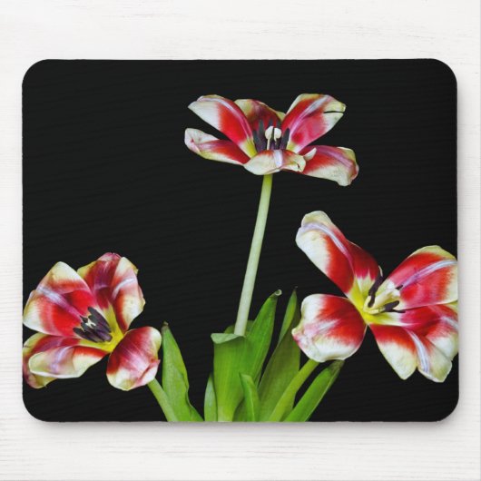 反転 マウスパッド (正面)