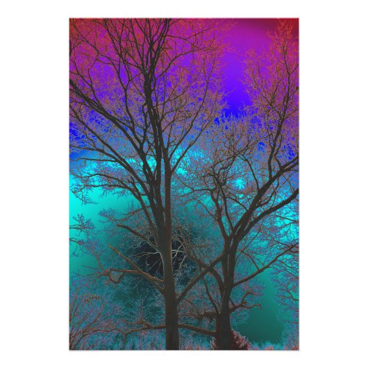 収差 フォトプリント            (正面)