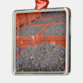 収穫からちょうどギャメイの葡萄 メタルオーナメント (左)