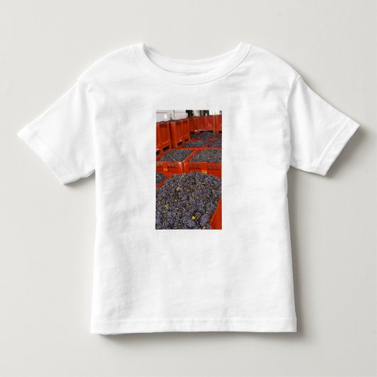 収穫されたてのガメイ葡萄が トドラーTシャツ (正面)