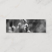 収穫されたカメラレンズのカメラマン スキニー名刺 (裏面)