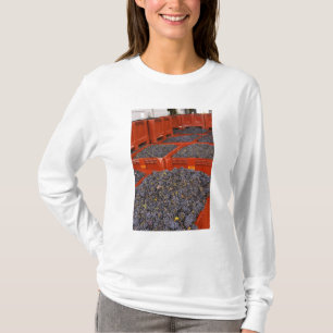 収穫したてのガマイユ葡萄が Tシャツ