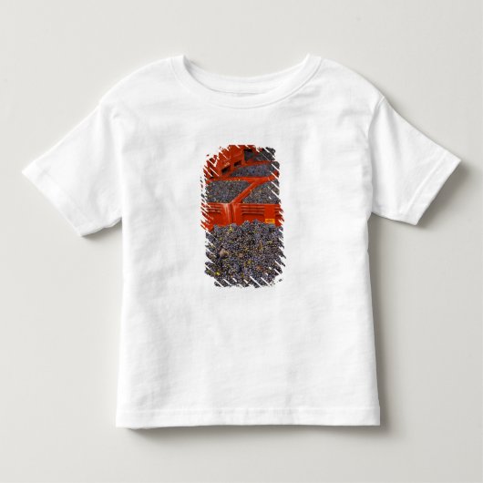 収穫したてのガマイユ葡萄 トドラーTシャツ (正面)