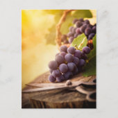 収穫したてのブドウ ポストカード (正面)