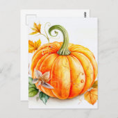 収穫したばかりの秋のカボチャ ポストカード (正面/裏面)