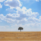 収穫した小麦畑の木 シール (正面)