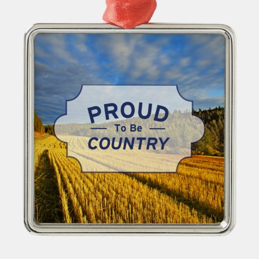 収穫の後の小麦畑 メタルオーナメント (正面)