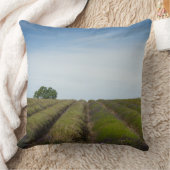 収穫の装飾用クッションの後のラベンダーの列 クッション (ブランケット)