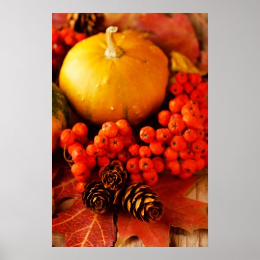 収穫カボチャと紅葉2 ポスター (正面)
