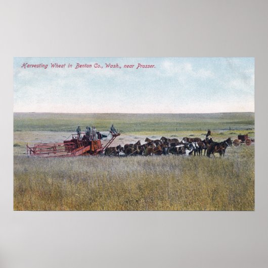 収穫ムギ場 ポスター (正面)