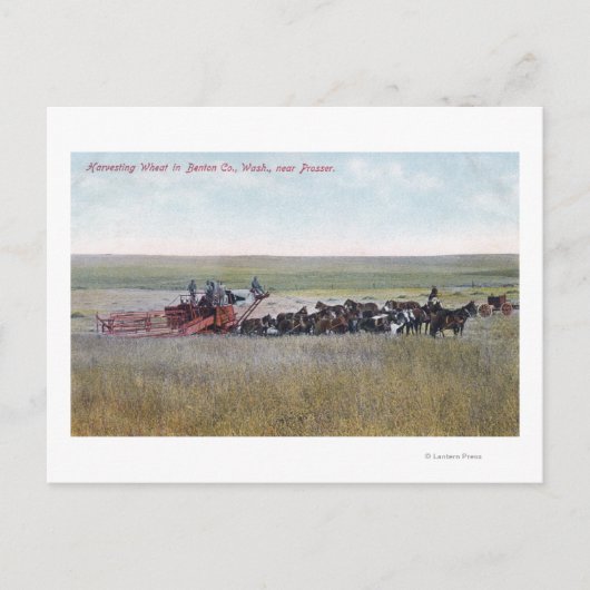 収穫ムギ場 ポストカード (正面)
