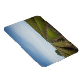 収穫後のラベンダーの行の長方形マグネット マグネット (右側)