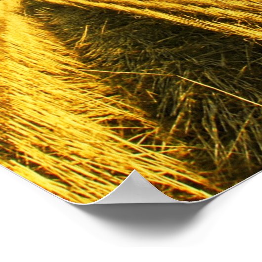 収穫後の小麦畑 ポスター (角)