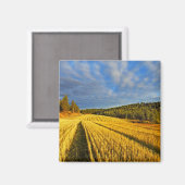 収穫後の小麦畑 マグネット (正面/裏面)