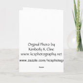 収穫感謝祭カード シーズンカード (裏面)