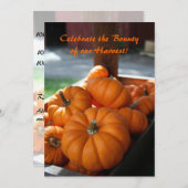 収穫招待状 – ミニカボチャ 招待状 (正面/裏面)