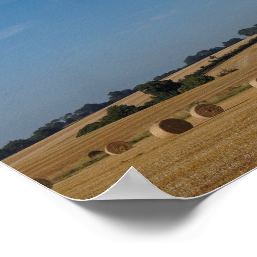 収穫時にコンコルド ポスター (角)