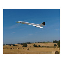 収穫時にコンコルド