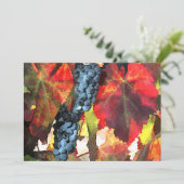 収穫時のブドウと葉 招待状 (スタンド正面)