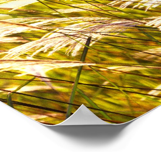 収穫時期の詩 ポスター (角)