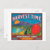 収穫時期アップルラベル – 矢木間，ワシントン州 ポストカード (正面/裏面)