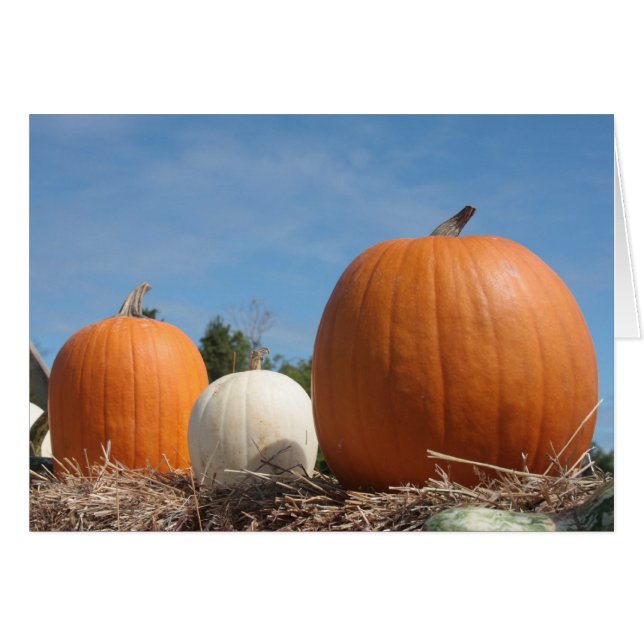 収穫時期!!!! (正面横)