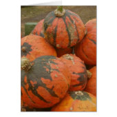 収穫時間 (正面)