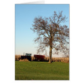 収穫時間2 (正面)