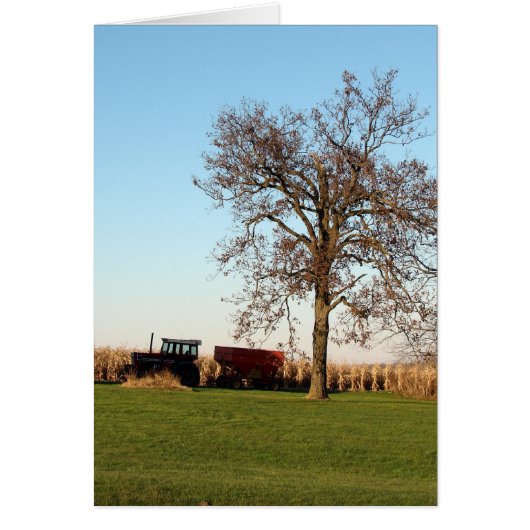 収穫時間2 (正面)