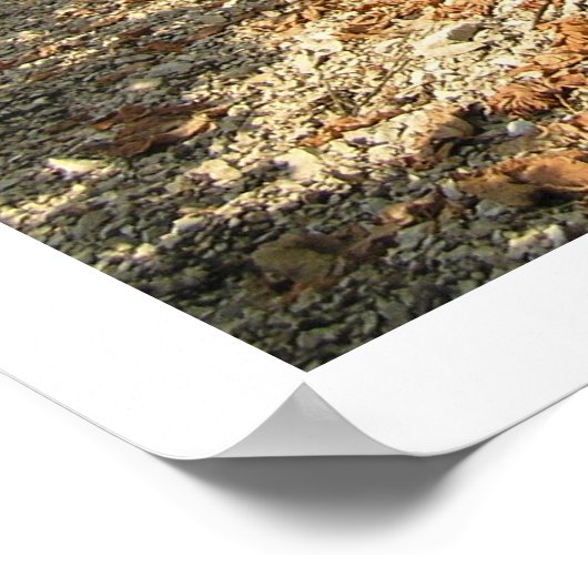 収穫時間 ポスター (角)