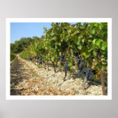 収穫時間 ポスター (正面)