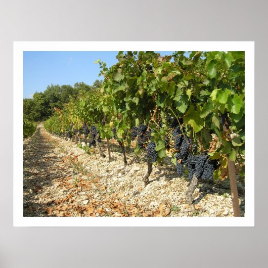 収穫時間 ポスター (正面)