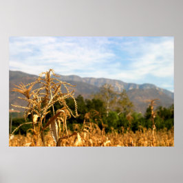 収穫時間 ポスター