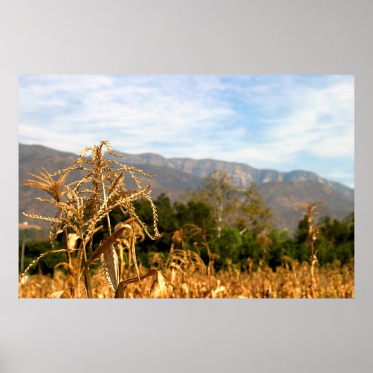 収穫時間 ポスター (正面)