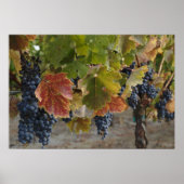 収穫時間 ポスター (正面)