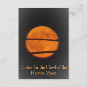 収穫月-草原のマイル-招待 招待状