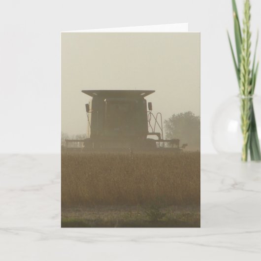 収穫期 カード (正面)