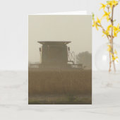 収穫期 カード (黄色い花)