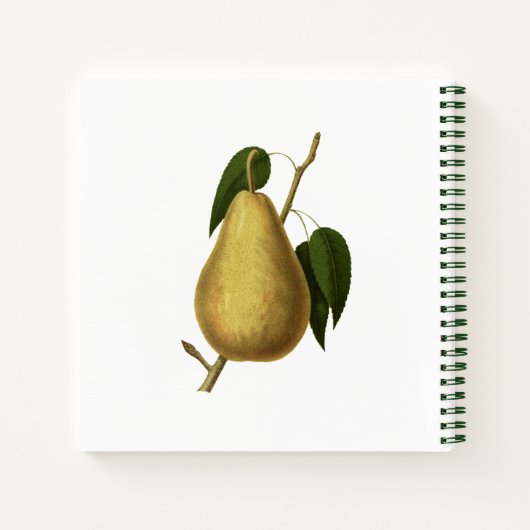 収穫果実ベジタリアンレシピ主催者 ノートブック (裏面)