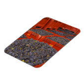 収穫直後のガマイブドウ マグネット (左側)