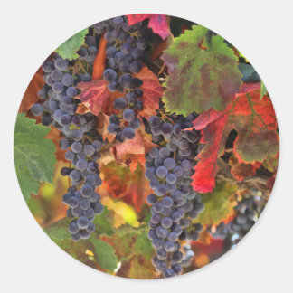 収穫葡萄畑ワインカントリーシール ラウンドシール